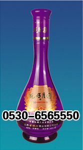 ZH-P007 500ml