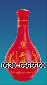 ZH-p004 500ml.jpg